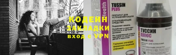 эйфоретик Арсеньев