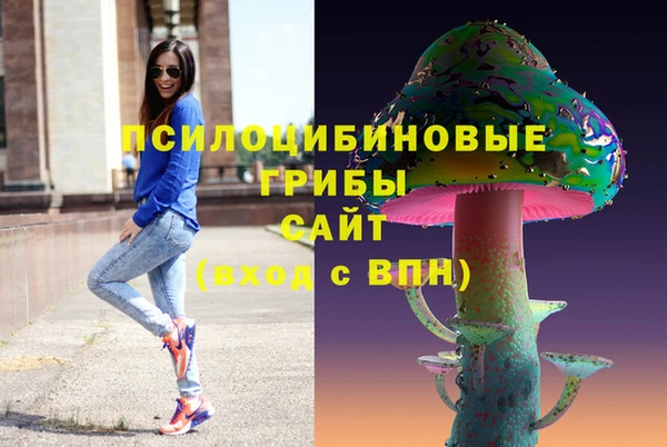 эйфоретик Арсеньев