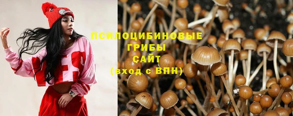 mix Армянск