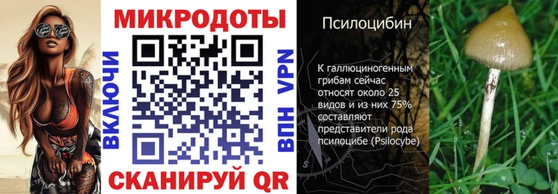mega зеркало  Лагань  Псилоцибиновые грибы Cubensis 