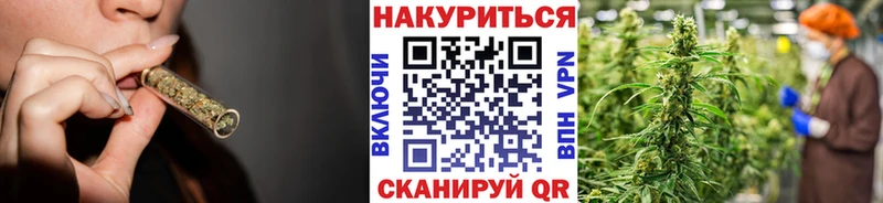 Каннабис планчик  KRAKEN маркетплейс  Лагань 